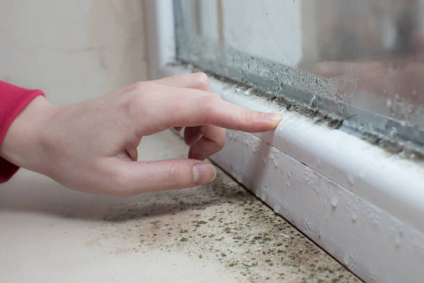 Best Mold-Related Health Consultation  in Aztec, NM
